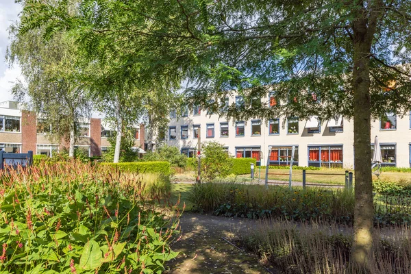 Leek Netherlands September 2022 Green Cozy Garden Nursing Home Vredewold — Stock Photo, Image