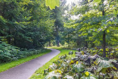 Zuidhorn 'daki Johan Smitpark, Hollanda' nın Westerkwartier Groningen ili