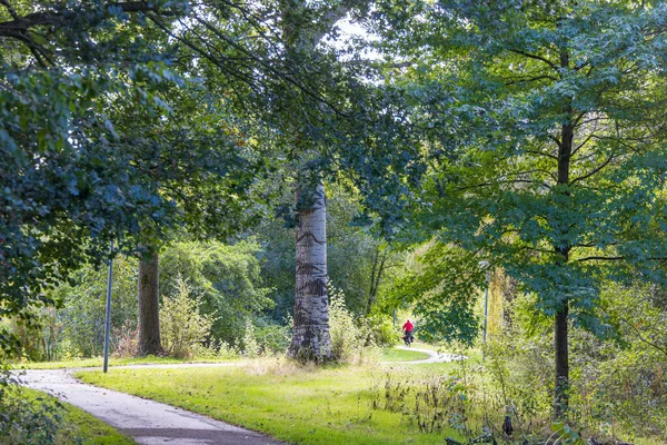 荷兰西部格罗宁根省Zuidhorn市Johan Smitpark — 图库照片