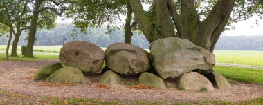 Pair of dolmen D21 and D22 overgrown by big tree in autumn setting in small village Bronnger atHondsrug in Drenthe The Netherlands