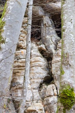 Rock along river Sure in Mullerthal in Luxembourg that looks like a big monster looking behind the trees with eyes, big nose and mouth