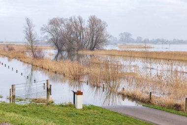 Blocked cycling road caused by flooded river IJssel near Welsum in Overijssel in The Netherlands