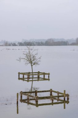 High water in river IJssel near Olst Wijhe in Overijssel in The Netherlands