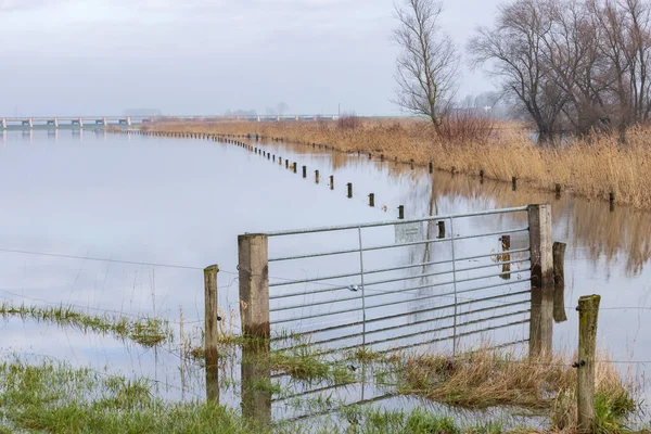 Blocked cycling road caused by flooded river IJssel near Welsum in Overijssel in The Netherlands