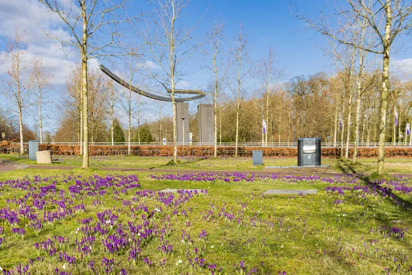 Bloeiende Krokus Kunstwerken Haven Van Leek Gemeente Westerkwartier Groningen Provincie — Stockfoto