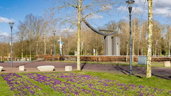 Kvetoucí Krokus Umělecká Díla Přístavu Obce Leek Westerkwartier Provincii Groningen — Stock fotografie
