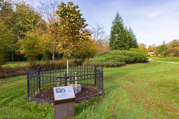 2022年10月26日 オランダ リーク市 エステートでアン フランクの木の苗を販売し ニーノールドを公園化 — ストック写真