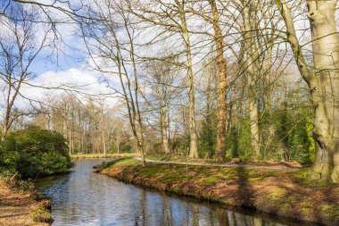 Drenthe Hollanda 'daki Tynaarlo Paterwolde Belediyesindeki Peyzaj De Braak