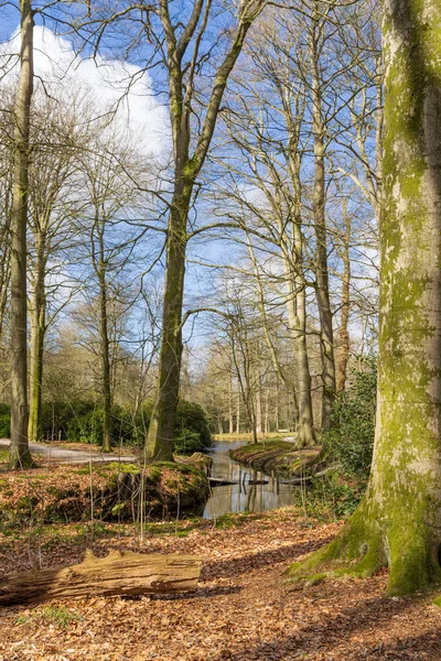 Landscape Estate Braak Paterwolde Municipality Tynaarlo Drenthe Netherlands — Stock Photo, Image
