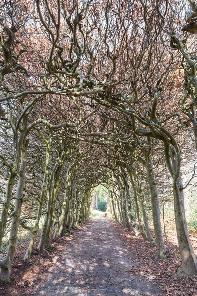 stock image Berceau at Estate De Braak in Paterwolde Municipality Tynaarlo in Drenthe The Netherlands