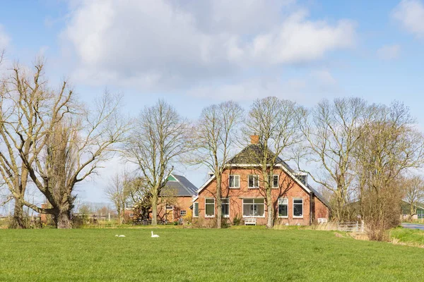 Gaaikemadijk Nizozemsko Března 2023 Velké Panství Farmářský Dům Podél Obce — Stock fotografie