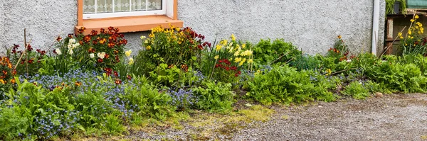 Colorido Jardín Fachada Patio Delantero Casa Provincia Cork Munster Irlanda —  Fotos de Stock