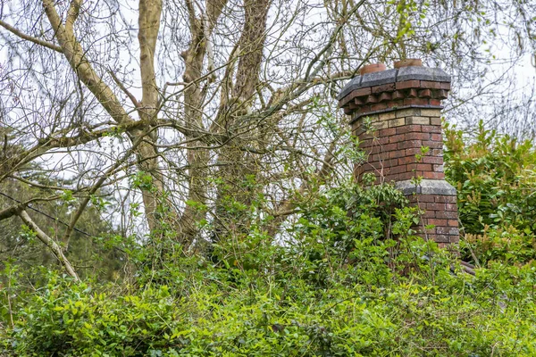 アイルランドのコルクマンスター州の緑の植物や茂みに覆われた煙突で古い家や小屋ヨーロッパ — ストック写真