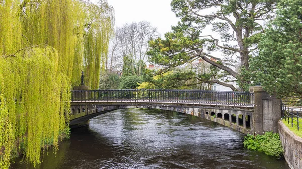 stock image Bridge crossing river Lee towards University College Cork area in Cork Munster province in Ireland Europe