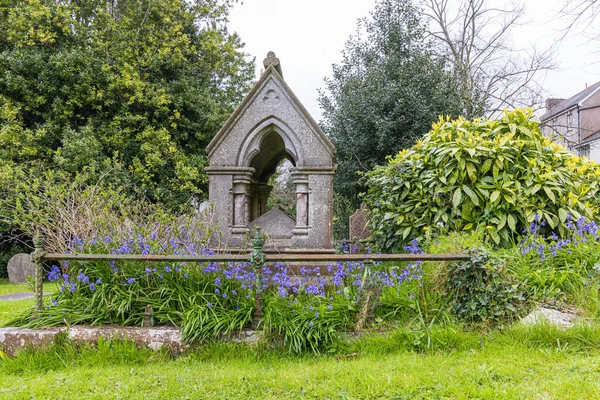 Divoká Hyacint Nebo Bluebell Hřbitově Katedrály Fina Barrese Provincii Cork — Stock fotografie