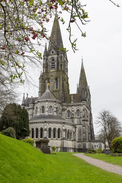 Rlanda Nın Cork Munster Eyaletindeki Saint Fin Barres Katedrali — Stok fotoğraf