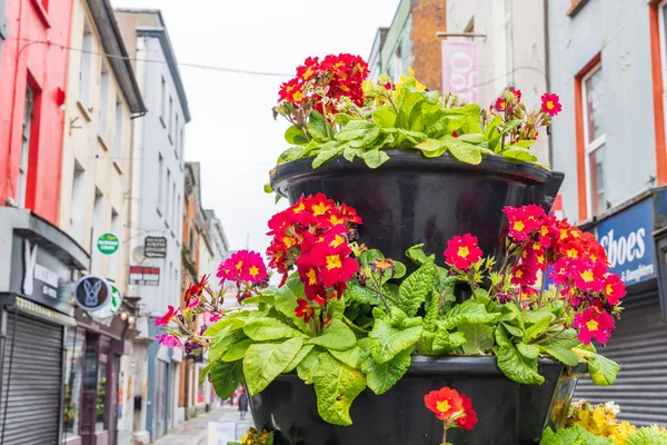 stock image Cork, Ireland - April 16, 2023: Cityscape with flower pots in the center of Cork in Munster province in Ireland Europe