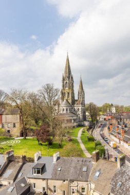 İrlanda 'nın Cork Munster bölgesindeki Saint Fin Barres Katedrali ile Elizabeth Dun Elise Kalesi' nden görüntü