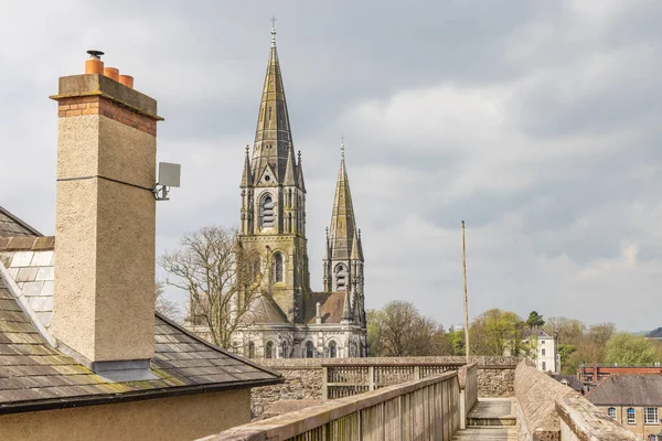 Rlanda Nın Cork Munster Bölgesindeki Saint Fin Barres Katedrali Ile — Stok fotoğraf