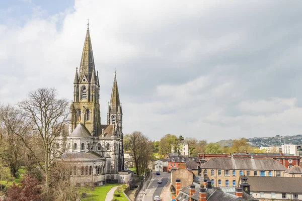 アイルランドのCork Munster州のSaint Fin Barres大聖堂とフォート エリザベス エリスからの眺めヨーロッパ — ストック写真