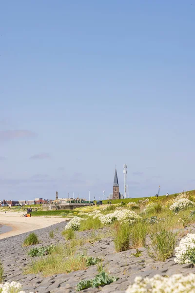 Skyline Pobřeží Harlingenu Provincii Friesland Nizozemsku — Stock fotografie