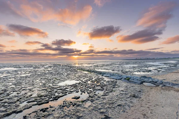 Piękny Zachód Słońca Wadden Morze Unesco Światowego Dziedzictwa Unesco Holandii — Zdjęcie stockowe