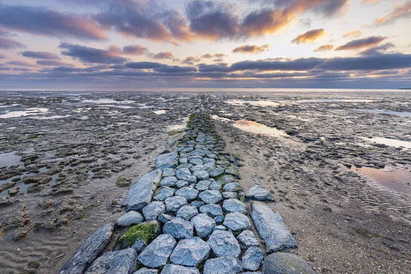 Krásná Krajina Západu Slunce Waddenském Moři Unesco Světového Dědictví Nizozemsku — Stock fotografie
