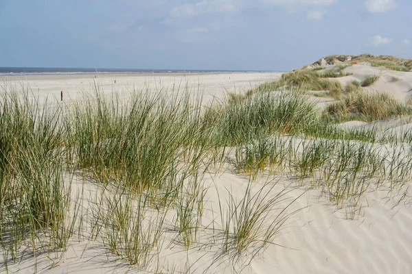 Paysage Avec Dunes Sable Aux Îles Wadden Aux Pays Bas — Photo