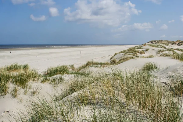 Пейзаж Песчаными Дюнами Ваттных Островах Нидерландах — стоковое фото