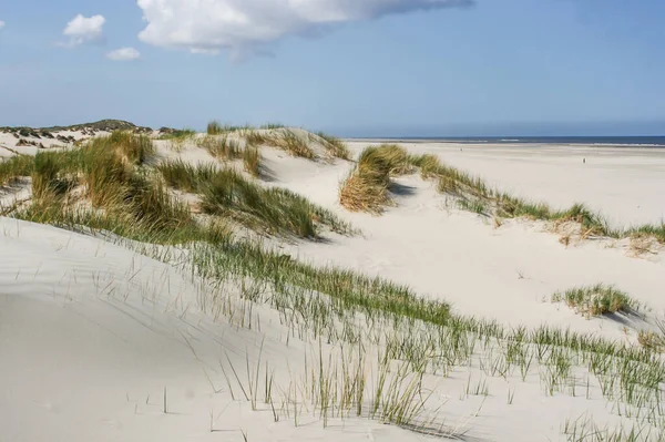 Krajobraz Wydmami Bezludnych Wyspach Holandii — Zdjęcie stockowe