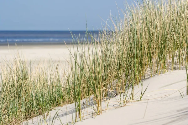 Landschaft Mit Sanddünen Auf Wattenmeerinseln Den Niederlanden — Stockfoto