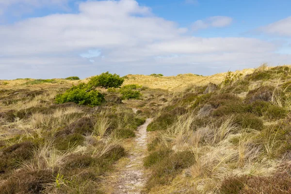 Dunes Landscape Formerum Wadden Island Terschelling Friesland Province Netherlands — Stock Photo, Image