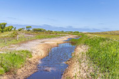 Hollanda 'nın Friesland eyaletindeki Wadden Adası Terschelling' deki Boschplaat 'ta doğa koruma alanındaki Vadi biyolojik çeşitlilik uyarıcıları yoluyla daha yüksek yeraltı suyu seviyeleri
