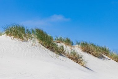 Hollanda 'nın Friesland bölgesindeki Wadden Adası' ndaki Boschplaat 'ta bulunan kum tepeleri manzarası