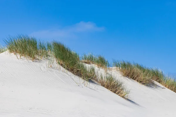 Hollanda Nın Friesland Bölgesindeki Wadden Adası Ndaki Boschplaat Bulunan Kum — Stok fotoğraf