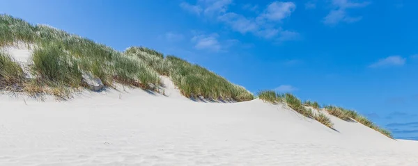 Пейзаж Песчаными Дюнами Заповеднике Boschplaat Ваттовом Острове Тершеллинг Провинции Фрисландия — стоковое фото