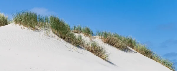Пейзаж Песчаными Дюнами Заповеднике Boschplaat Ваттовом Острове Тершеллинг Провинции Фрисландия — стоковое фото