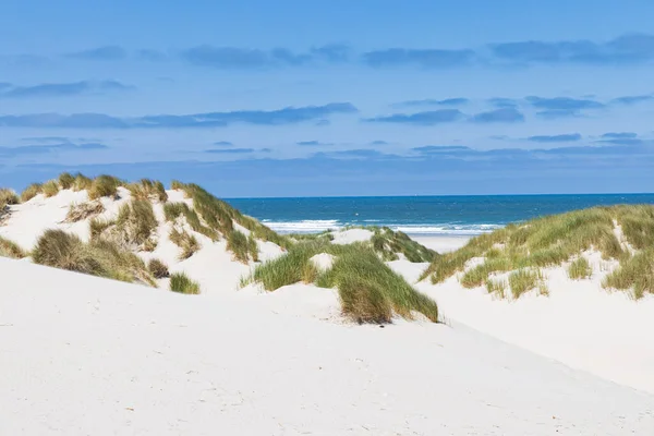 Landskap Med Sanddyner Naturreservat Boschplaat Wadden Terschelling Provinsen Friesland Nederländerna — Stockfoto