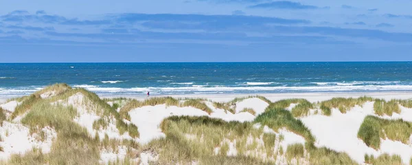 自然保護区の砂丘と風景オランダのフリースラント州のワッデン島でBoschplat — ストック写真