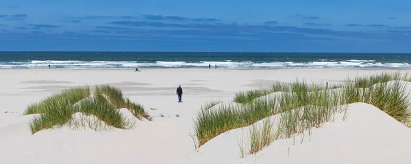 Dünenlandschaft Naturschutzgebiet Boschplaat Auf Der Wattenmeerinsel Terschelling Der Provinz Friesland — Stockfoto