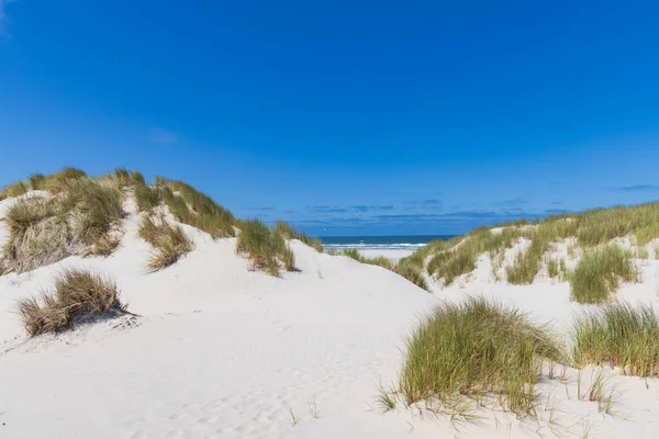 Paysage Avec Dunes Sable Dans Réserve Naturelle Boschplaat Wadden Île — Photo