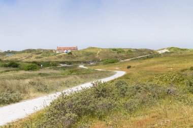 Hollanda 'nın Friesland bölgesindeki Wadden Adası Terschelling' de bulunan Formerum 'dan kumsala kadar bisiklet yolu.