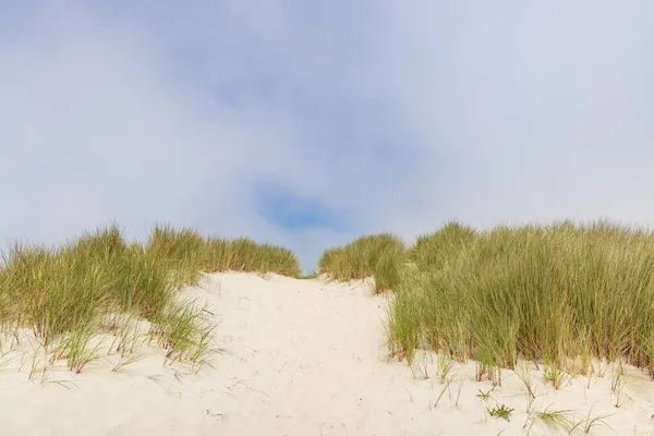 Paesaggio Con Dune Sabbia Nella Riserva Naturale Wadden Isola Terschelling — Foto Stock