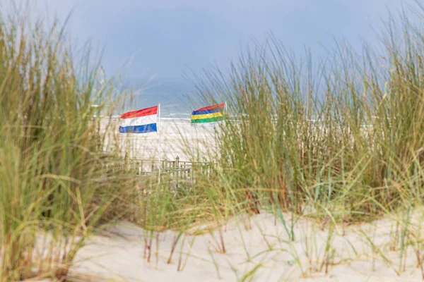 荷兰弗里斯兰省瓦登岛自然保护区的沙丘景观和特希林旗 — 图库照片