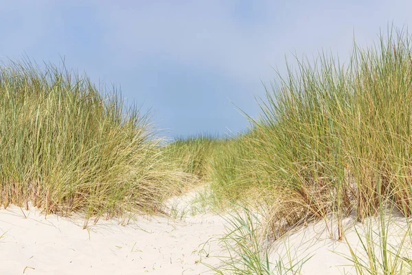 荷兰弗里斯兰省瓦登岛特谢林自然保护区的沙丘景观 — 图库照片
