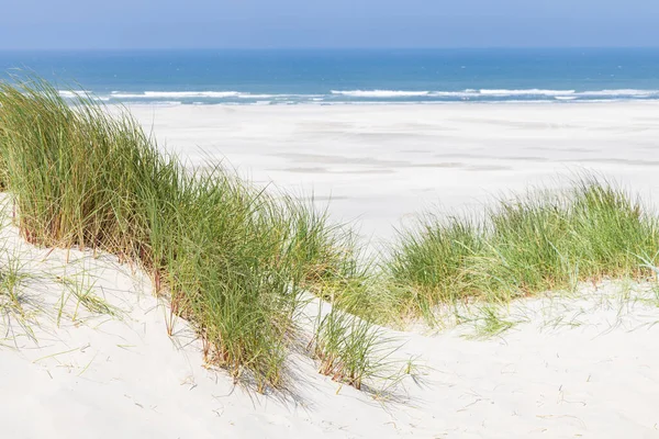 Paysage Avec Dunes Sable Dans Réserve Naturelle Wadden Île Terschelling — Photo