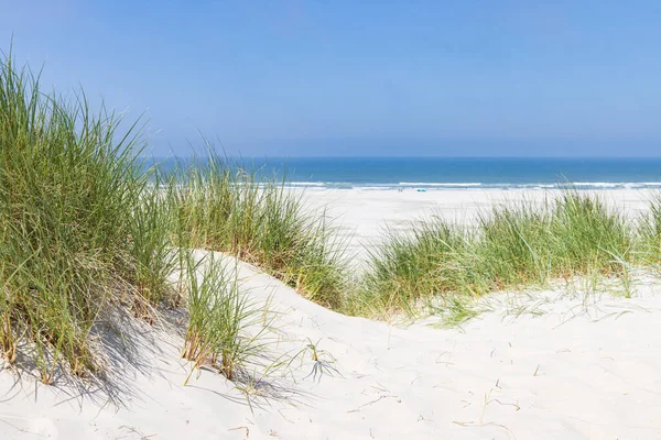 Paesaggio Con Dune Sabbia Nella Riserva Naturale Wadden Isola Terschelling — Foto Stock