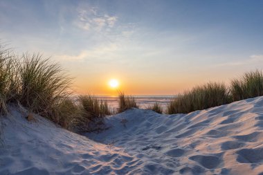 Hollanda 'nın Terschelling Friesland eyaletinin Wadden Adası plajında gün batımında kum tepeleri manzarası