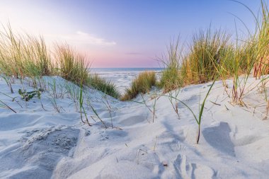 Hollanda 'nın Terschelling Friesland eyaletinin Wadden Adası plajında gün batımında kum tepeleri manzarası