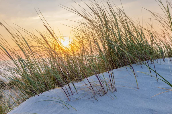 オランダのワッデン島のビーチで日没時の砂丘風景 Terschelling Friesland省 — ストック写真
